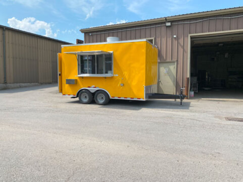 yellow-1-481x361